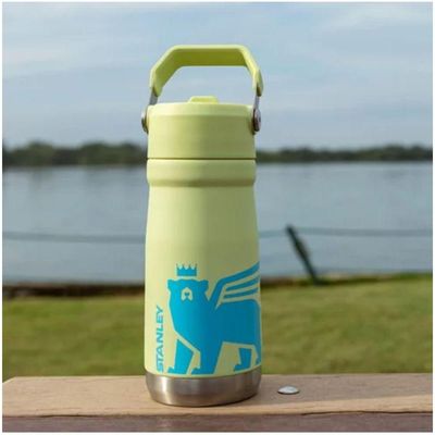 Garrafa Térmica Stanley Flip Straw Kids Infantil Youth 500ml Citron