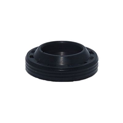 Retentor Anel Raspador Karcher K310 K330 Hd5/11C Hd5/12C Hd 6/13C Hd6/15C (20x12x4.6)