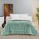 Coberdrom Diamond Casal King Sherpa Com Manta Flannel 01 Peça - Verde Alecrim