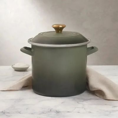 STOCKPOT LE CREUSET EM AÇO INOX ESMALTADO 22CM 7,6L PEGADOR DOURADO THYME 56000081732003