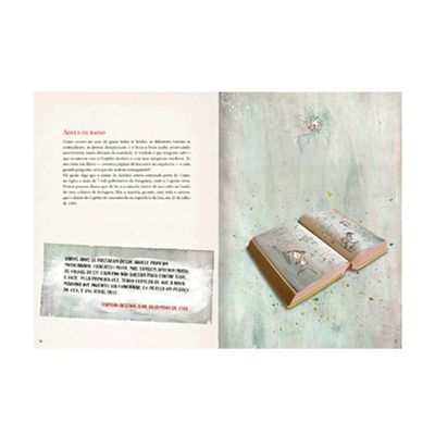 Livro O Diário do Capitão Arsênio - Máquina de Voar - Pablo Bernasconi- Catapulta