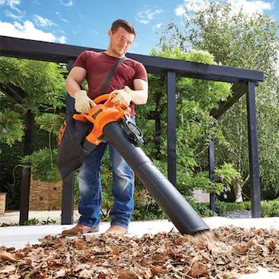 Aspirador E Soprador Black & Decker 220V