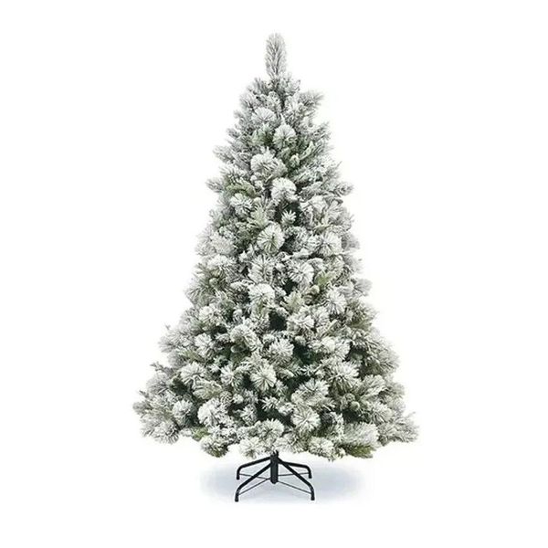 17387047405572 17387047405572