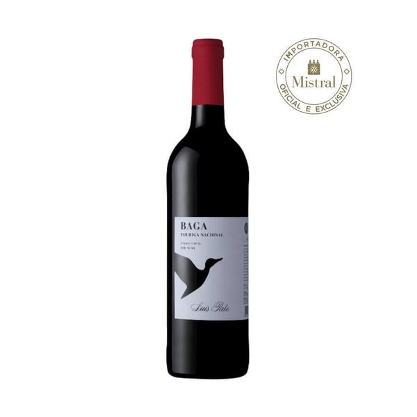 17616341470379 17616341470379