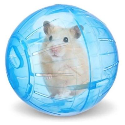 Globo De Exercício Para Hamster 18cm - 325 - American Pets