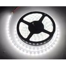 Kit 3 Fita Led Rolo 5m 5050 Branco Frio A Prova D'agua