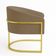 Poltrona Sala Decorativa Industrial Dourada Kit 2 Arielle Suede Marrom Rato D03 - D'Rossi