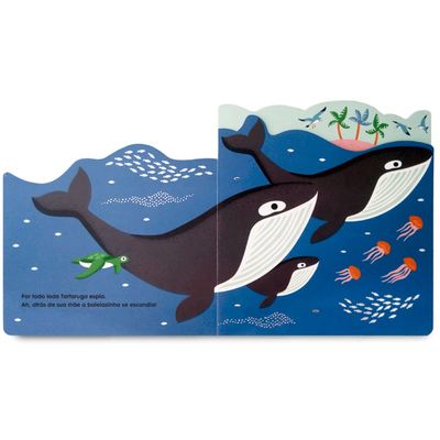 Livro Vejo no Oceano - Catapulta