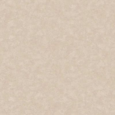 Papel de Parede Nature Cimento Queimado Cinza TONU8009