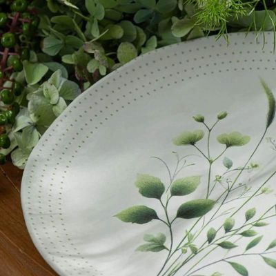 Aparelho Jantar Orgânico Ammi Arauco Porto Brasil 18 Peças Cerâmica Verde Mesa Posta