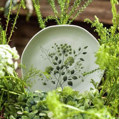 Aparelho Jantar Orgânico Ammi Arauco Porto Brasil 18 Peças Cerâmica Verde Mesa Posta
