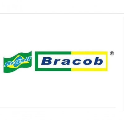 Galoneira Bracob Direc Drive Autovolt Limpaestock