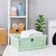 Kit 2 Caixas Organizadoras Crippa Cesto Médio Verde Menta Escritório Banheiro Closet Lavanderia