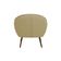 Poltrona Decorativa Sacha Veludo Champagne - Gran Belo