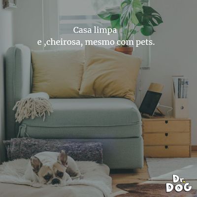Eliminador de maus odores e higienizador cães gatos pet Dr. Dog Verbena 2 litros concentrado