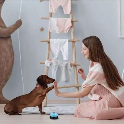 Campainha De Treinamento Para Pets Sino Para Adestramento De Cães E Gatos