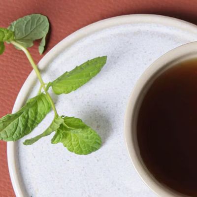 Jogo de 6 Xícaras e Pires de Chá 210ml Stoneware Neo Latte Porto Brasil n/a