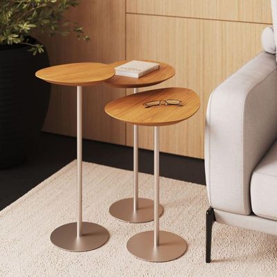 Conjunto De 3 Mesas Laterais Orgânicas Kaleo Base Champanhe Tampo Mel