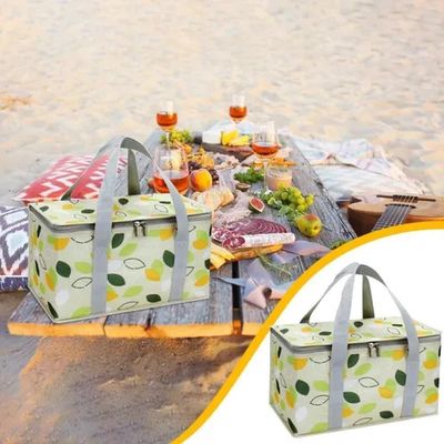 Bolsa Termica Portatil 12l Cesta Dobravel Bolsa Cooler Saco Piquinique Impermeavel Ecologica Viagem Camping