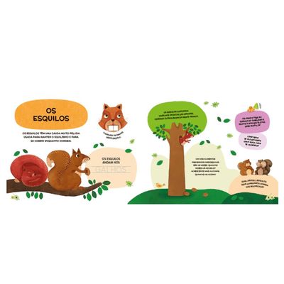 Livro Abremente Mini Animais do Bosque - Catapulta