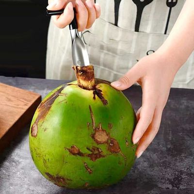 Furador de Coco Abridor Aço Inox Cabo Preto