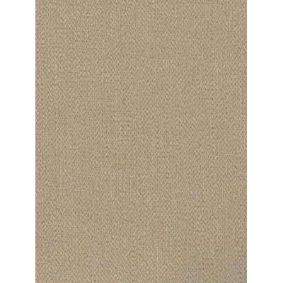 Papel de Parede Max Textura Bege CT10606