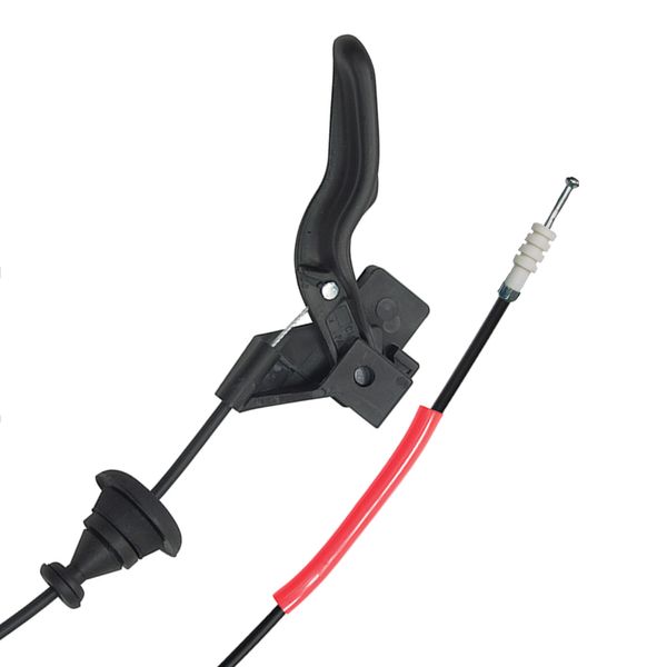 17646802419476 17646802419476