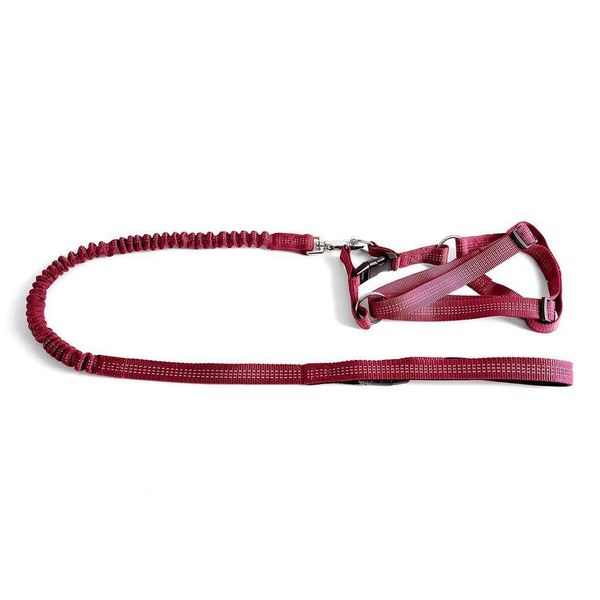 17563036502021 17563036502021