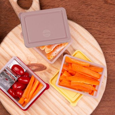 Pote Box Organize Rose em Polipropileno