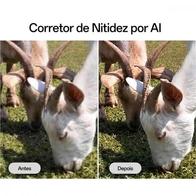 Smartphone A5 5G Tela 6.67 256GB 8GB RAM Câmera 50MP OPPO Verde / Bivolt