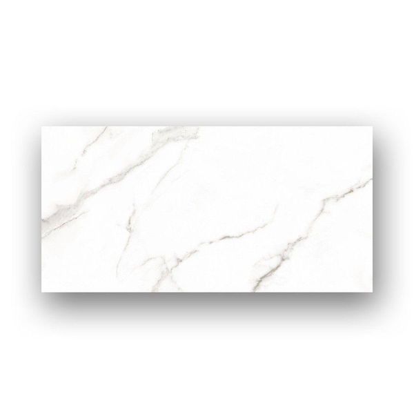 17649288385209 17649288385209