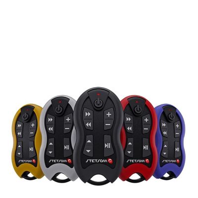 Controle Remoto Stetsom Sx1 8 Funcoes Grafite