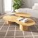 Conjunto Mesa De Centro Orgânica Stone Em Madeira Damasco