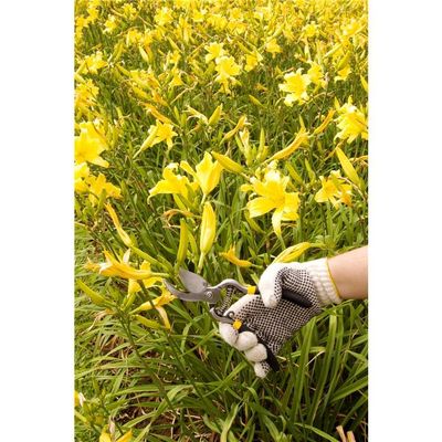 Tesoura Para Poda Curva 8.1/2" Vonder