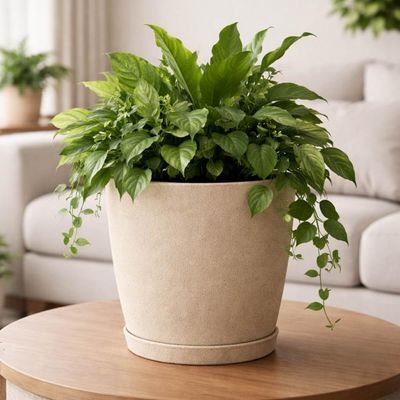 Kit 2 Vasos com Prato Granito Areia 24cm Tramontina Floreira de Mesa Flores Folhagens