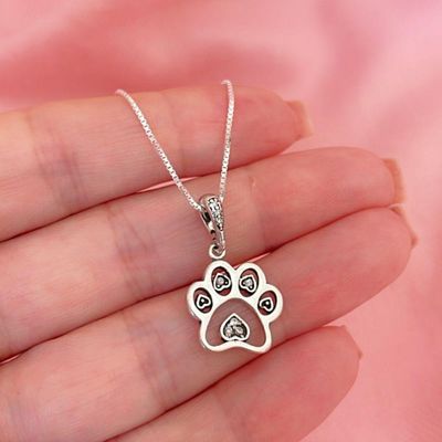 Colar Pet Com Pata E Osso Prata 925