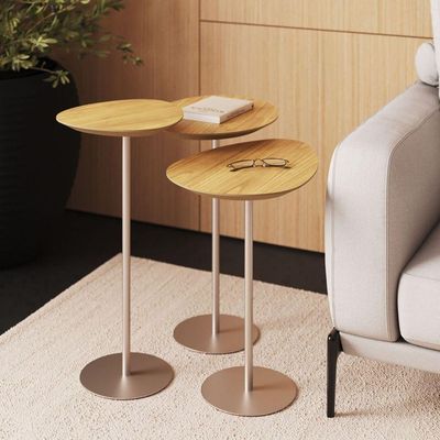 Conjunto De 3 Mesas Laterais Orgânicas Kaleo Base Champanhe Tampo Damasco