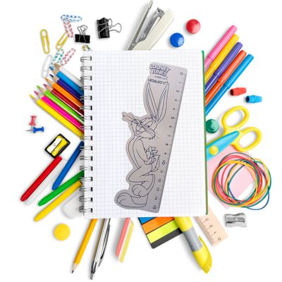 REGUA DE MADEIRA DECORADA LOONEY TUNES OPPBAG - LEO & LEO