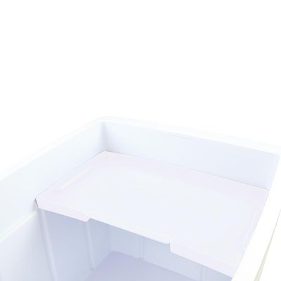 Caixa Térmica 75L Grande Cores Cooler Bebidas Mor Azul