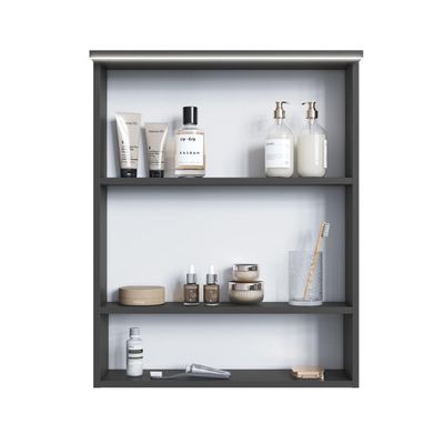 Armário Espelheira para Banheiro com 2 Portas e Iluminação