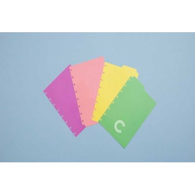 DIVISORIA A5 PASTEL CADERNO INTELIGENTE
