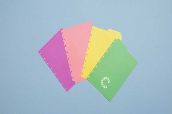 DIVISORIA A5 PASTEL CADERNO INTELIGENTE