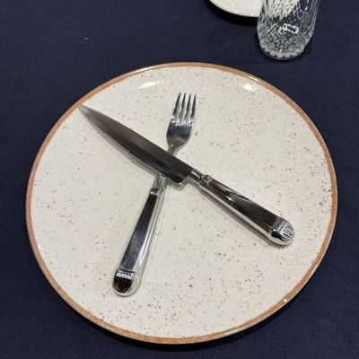 Jogo 50 Facas Jumbo Churrascaria 25cm Aço Inox Prateadas Mesa Restaurante