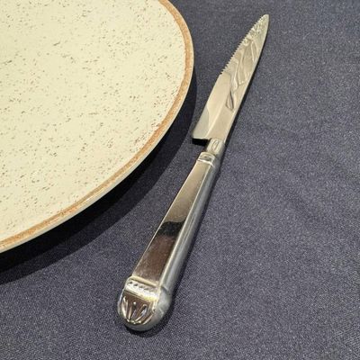 Jogo 50 Facas Jumbo Churrascaria 25cm Aço Inox Prateadas Mesa Restaurante