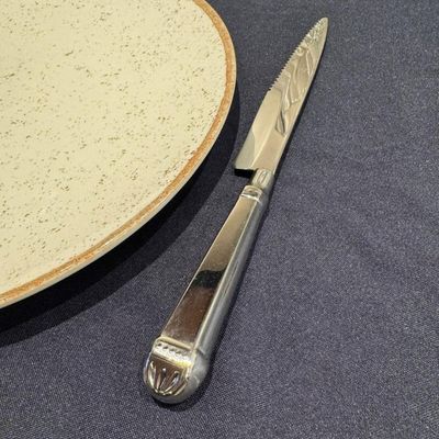 Jogo 100 Facas Jumbo de Churrasco 25cm Aço Inox Prateada Restaurante Mesa Jantar
