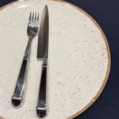 Jogo 100 Facas Jumbo de Churrasco 25cm Aço Inox Prateada Restaurante Mesa Jantar