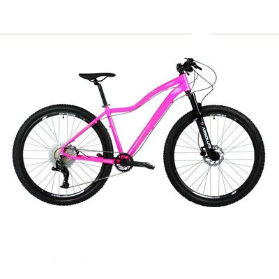 Bicicleta Aro 29 Absolute Hera 12v Freios A Disco Hidráulico Hollowtech K7 Garfo Trava No Guidão rosa Tam: 15
