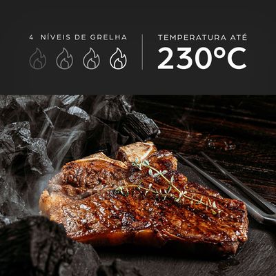 Fritadeira Elétrica Airfry Prosdocimo Barbecue Heat Digital WC AB1030 6,6L 1700W Função Churrasco Wap n/a / 110V
