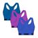 Kit 3 Tops Puma Nadador Sem Costura Feminino M / Azul e Roxo