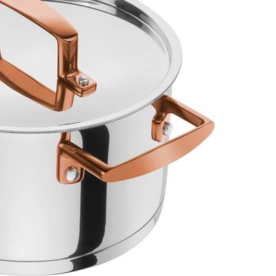 Jogo de Panelas Inox 5 Peças Zwilling Bellasera com Design Moderno e Performance Profissional